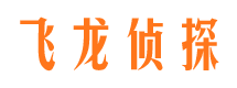 彭阳寻人公司